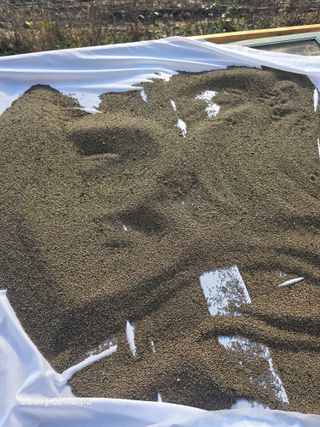 소병찬님의 들깨 · 영농일지 작성글 사진