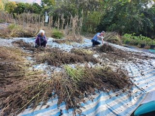 박정희님의 자유주제 · 자유게시판 작성글 사진