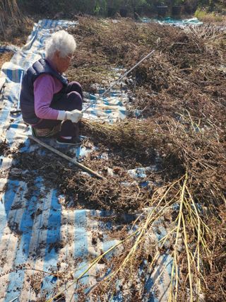 박정희님의 자유주제 · 자유게시판 작성글 사진