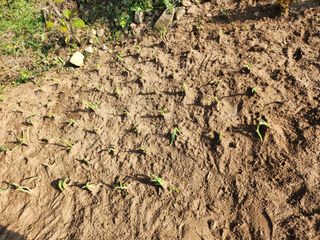 박정희님의 자유주제 · 자유게시판 작성글 사진