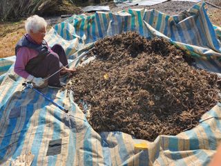 박정희님의 자유주제 · 자유게시판 작성글 사진