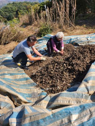 박정희님의 자유주제 · 자유게시판 작성글 사진