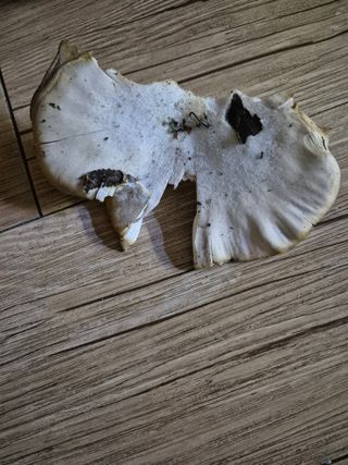 함안 권옥순님의 자유주제 · 자유게시판 작성글 사진