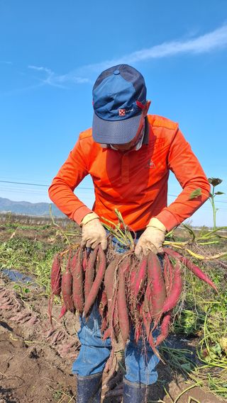 오남현님의 자유주제 · 자유게시판 작성글 사진