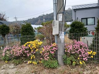 호박16023님의 자유주제 · 사진전 작성글 사진