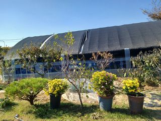 호박16023님의 자유주제 · 사진전 작성글 사진