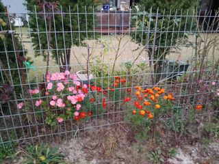 호박16023님의 자유주제 · 사진전 작성글 사진