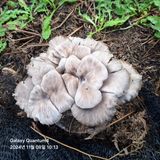 팜모닝 농사경력 최고의 순간을 알려주세요.·참여글 게시글 이미지