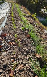 팜모닝 자유주제·자유게시판 게시글 이미지