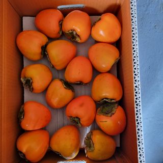 믿고사는농원-송미경님의 자유주제 · 자유게시판 작성글 사진