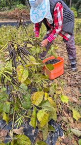 팜모닝 자유주제·자유게시판 게시글 이미지