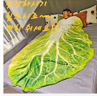 손병만님의 자유주제 · 자유게시판 작성글 사진