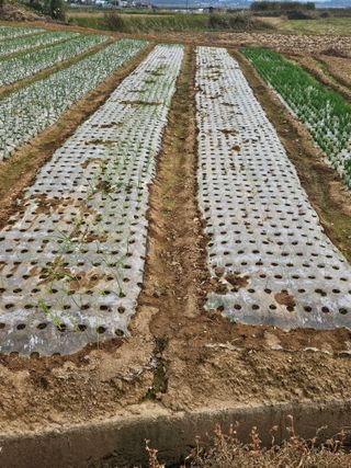 백호순(후추)님의 자유주제 · 자유게시판 작성글 사진