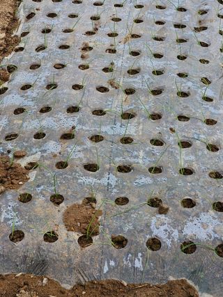 백호순(후추)님의 자유주제 · 자유게시판 작성글 사진