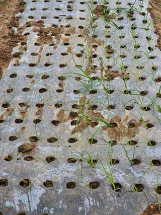 백호순(후추)님의 자유주제 · 자유게시판 작성글 사진