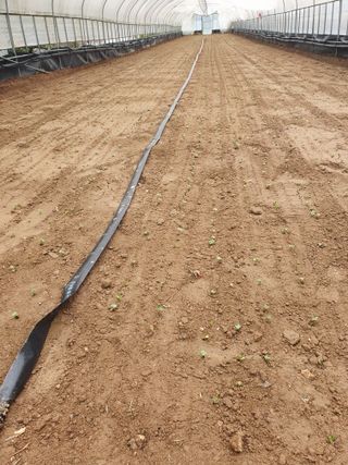 참살이님의 자유주제 · 자유게시판 작성글 사진