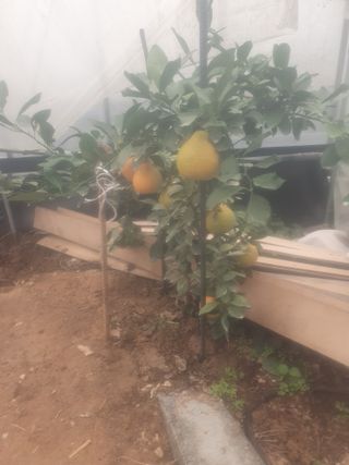 참살이님의 자유주제 · 자유게시판 작성글 사진