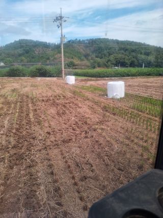 정영기대산축산농부♡님의 자유주제 · 자유게시판 작성글 사진