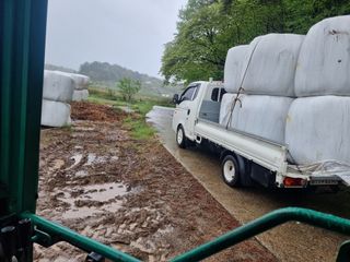 정영기대산축산농부♡님의 자유주제 · 자유게시판 작성글 사진