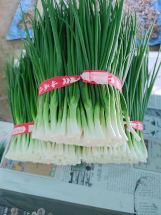 김세진님의 자유주제 · 사진전 작성글 사진