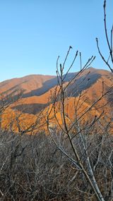 팜모닝 자유주제·자유게시판 게시글 이미지