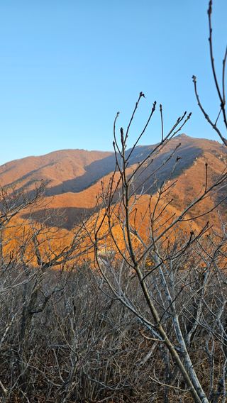 장철식님의 자유주제 · 자유게시판 작성글 사진