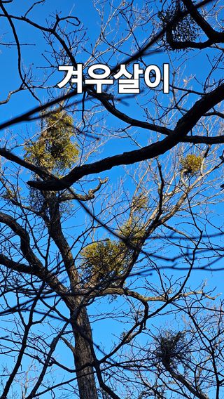 장철식님의 자유주제 · 자유게시판 작성글 사진