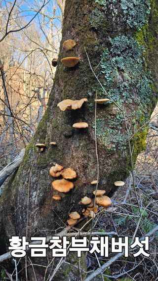 장철식님의 자유주제 · 자유게시판 작성글 사진