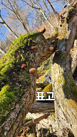 장철식님의 자유주제 · 자유게시판 작성글 사진