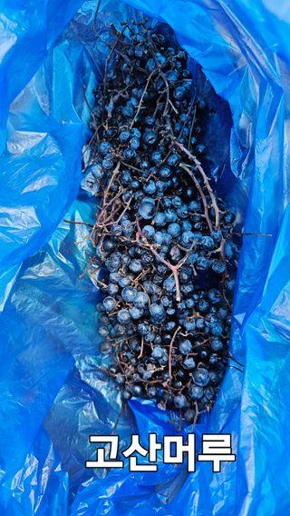 장철식님의 자유주제 · 자유게시판 작성글 사진