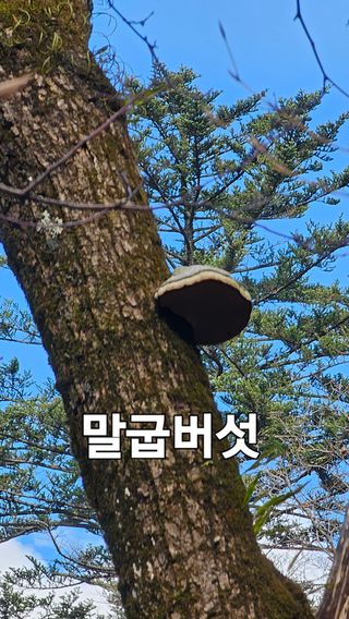장철식님의 자유주제 · 자유게시판 작성글 사진