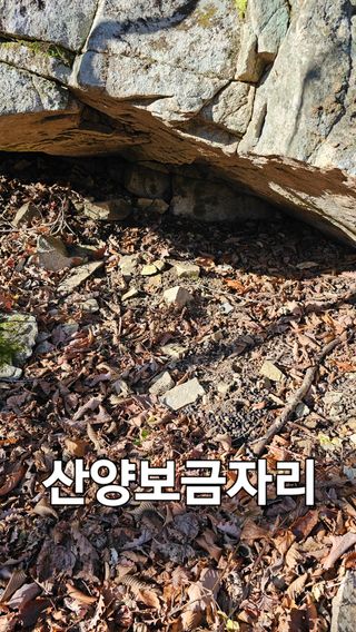 장철식님의 자유주제 · 자유게시판 작성글 사진