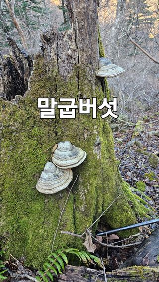 장철식님의 자유주제 · 자유게시판 작성글 사진