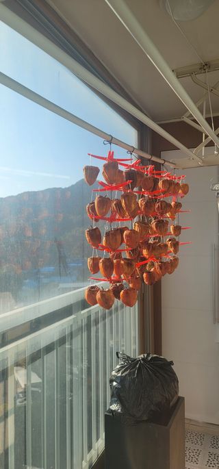 조애연님의 자유주제 · 자유게시판 작성글 사진