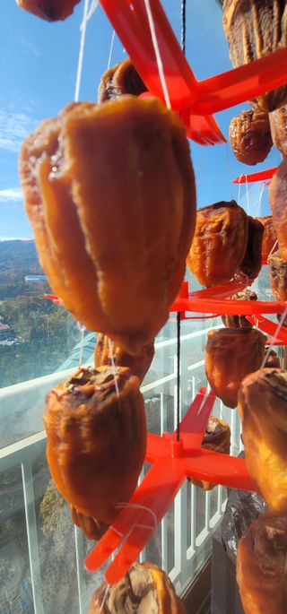 조애연님의 자유주제 · 자유게시판 작성글 사진