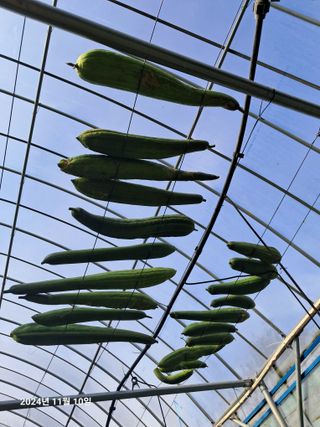 선이랑순이랑님의 자유주제 · 자유게시판 작성글 사진