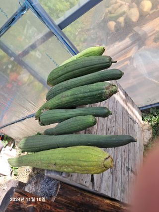 선이랑순이랑님의 자유주제 · 자유게시판 작성글 사진