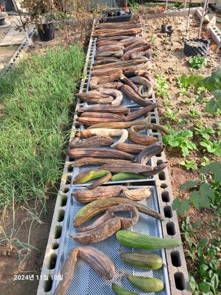 선이랑순이랑님의 자유주제 · 자유게시판 작성글 사진