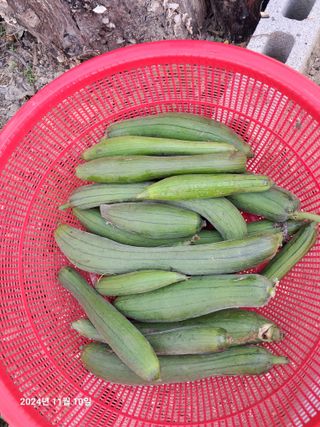 선이랑순이랑님의 자유주제 · 자유게시판 작성글 사진