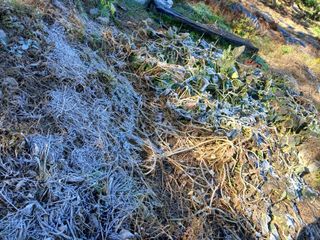 이갑덕님의 자유주제 · 자유게시판 작성글 사진