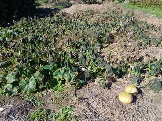 이갑덕님의 자유주제 · 자유게시판 작성글 사진