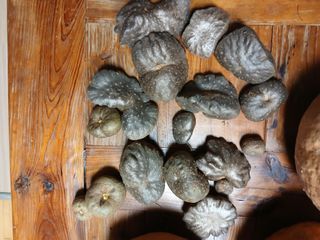 이갑덕님의 자유주제 · 자유게시판 작성글 사진