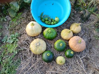 이갑덕님의 자유주제 · 자유게시판 작성글 사진