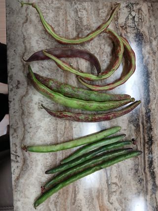 이갑덕님의 자유주제 · 자유게시판 작성글 사진