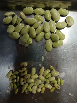 이갑덕님의 자유주제 · 자유게시판 작성글 사진