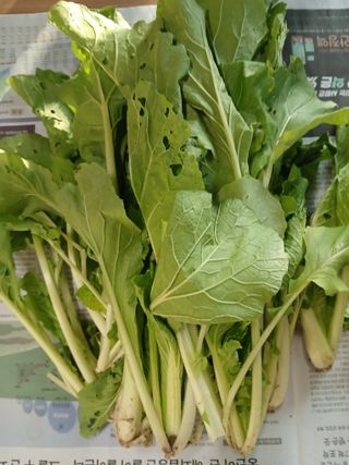 이갑덕님의 자유주제 · 자유게시판 작성글 사진