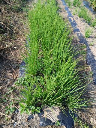 이갑덕님의 자유주제 · 자유게시판 작성글 사진