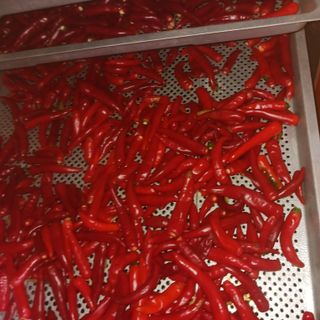 오화순님의 자유주제 · 자유게시판 작성글 사진