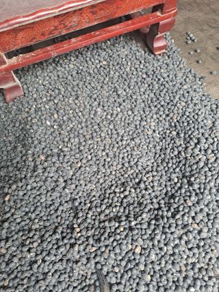 성실한 농부님의 자유주제 · 자유게시판 작성글 사진