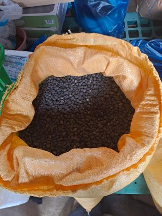 성실한 농부님의 자유주제 · 자유게시판 작성글 사진